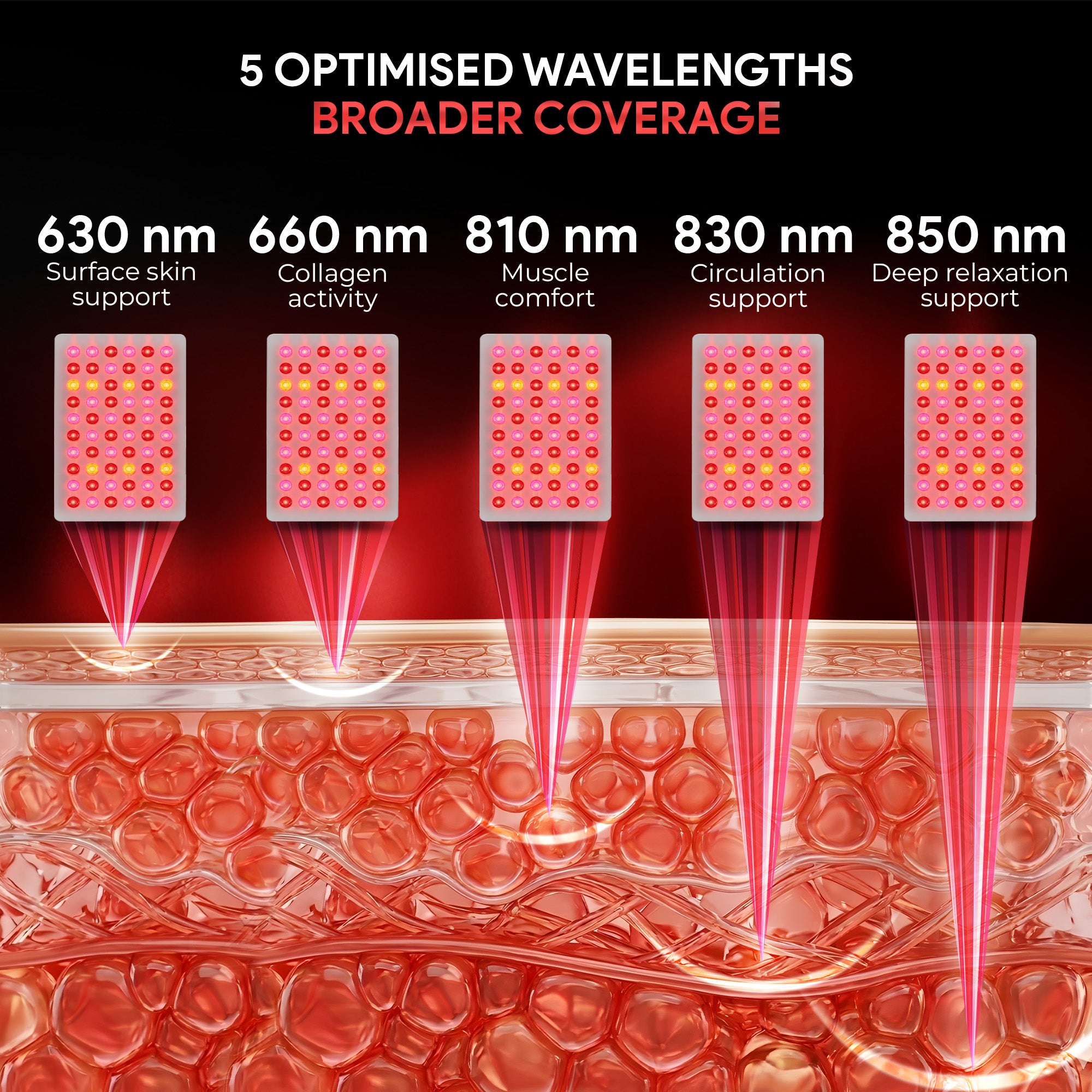 Diagram showing 5 optimised wavelengths red light panel